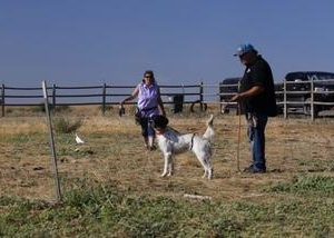 RJ Marquart Training event - July 25-26, 2026